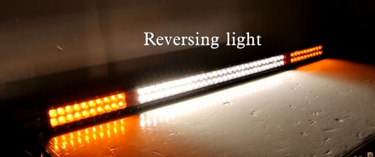 reversing light function